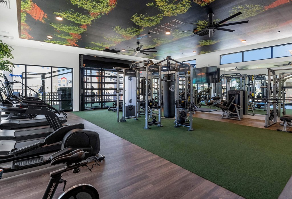 a gym with weights and exercise equipment and a mural on the ceiling