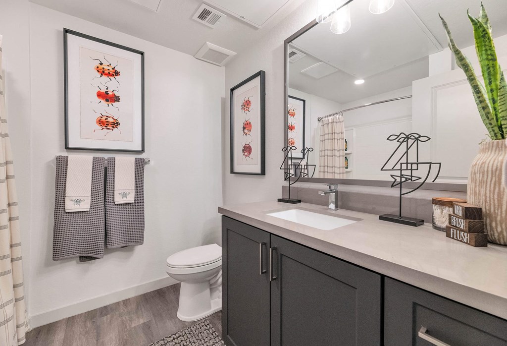 a bathroom with a sink and a toilet and a mirrorat Weylyn Luxury Apartments, Laveen, AZ 85339