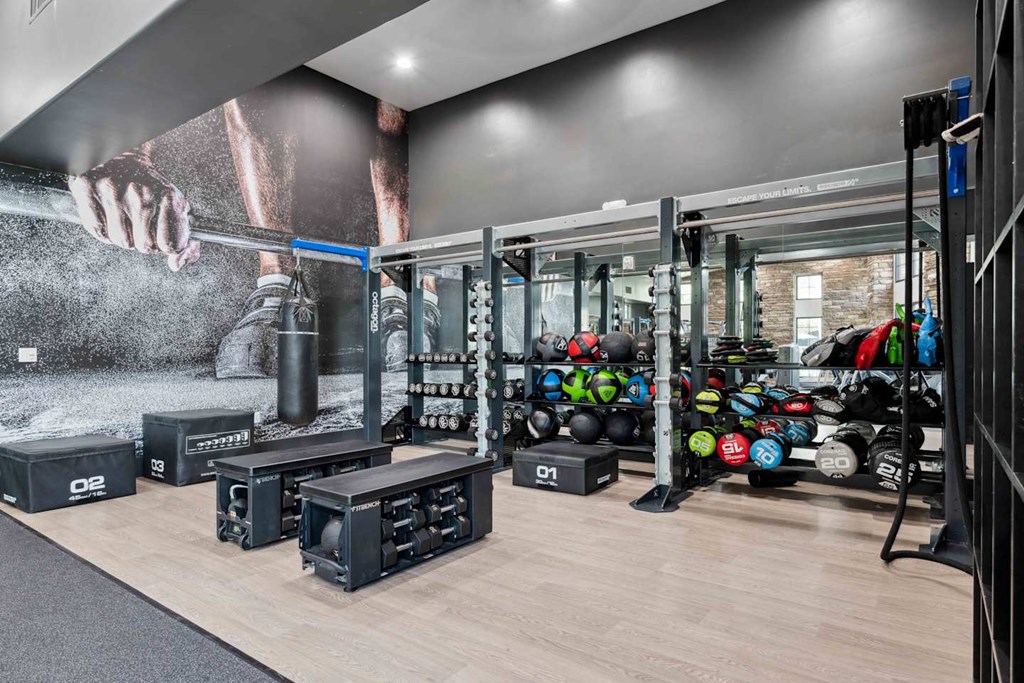 A gym with a variety of equipment including weights and weight racks. at The Laurel Apartments, Chandler, AZ
