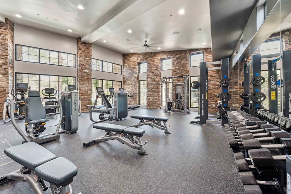 A gym with a variety of equipment including treadmills, weights, and benches. at The Laurel Apartments, Chandler Arizona
