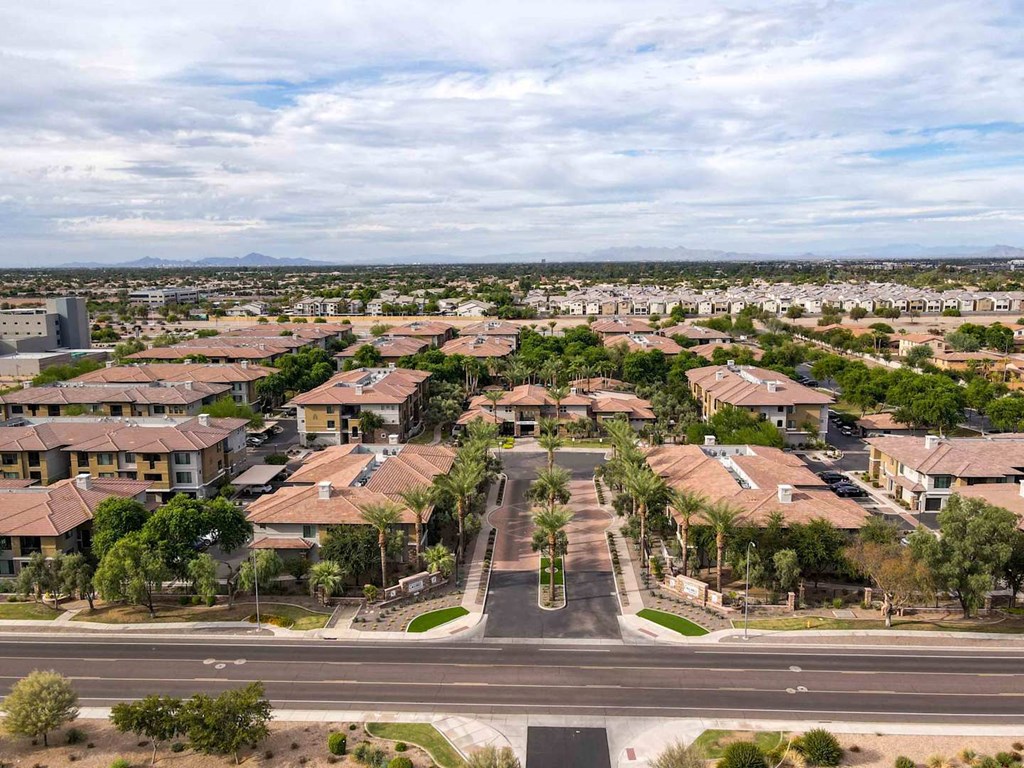 A suburban neighborhood with houses and palm trees. at The Laurel Apartments, Chandler