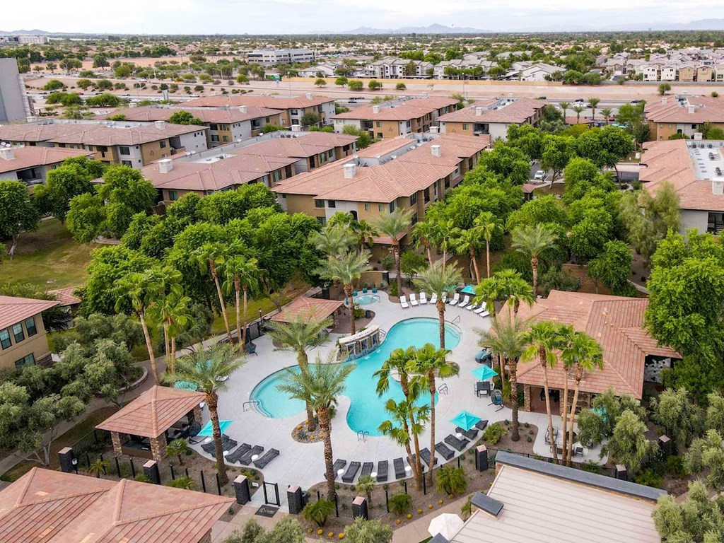 A large swimming pool surrounded by palm trees and lounge chairs in a residential area. at The Laurel Apartments, Chandler, AZ