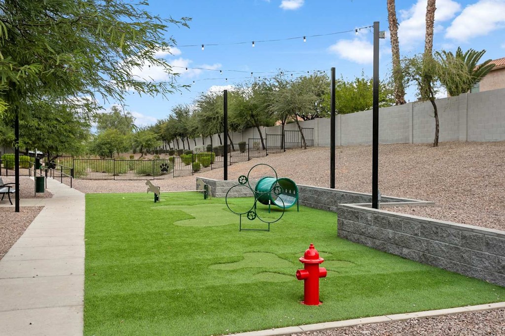 Dog Park at The Laurel Apartments, Arizona, 85286