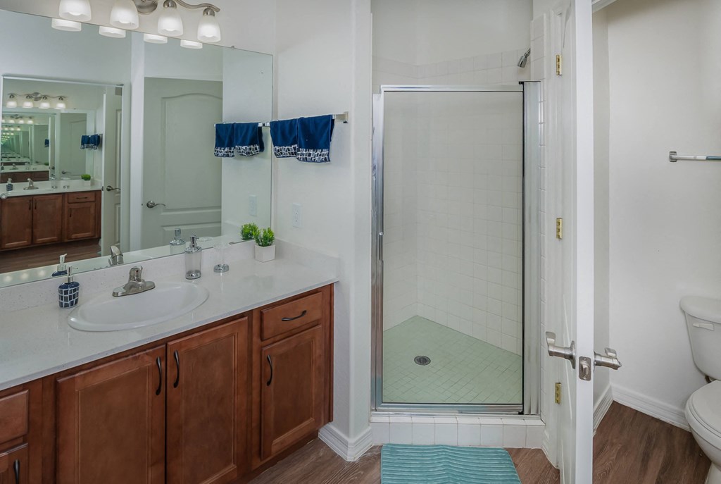a bathroom with a shower and a sink and a mirror