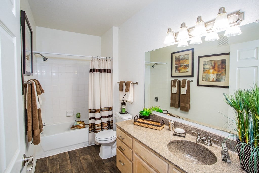 Full Bathroom at Apartments near University of Arizona