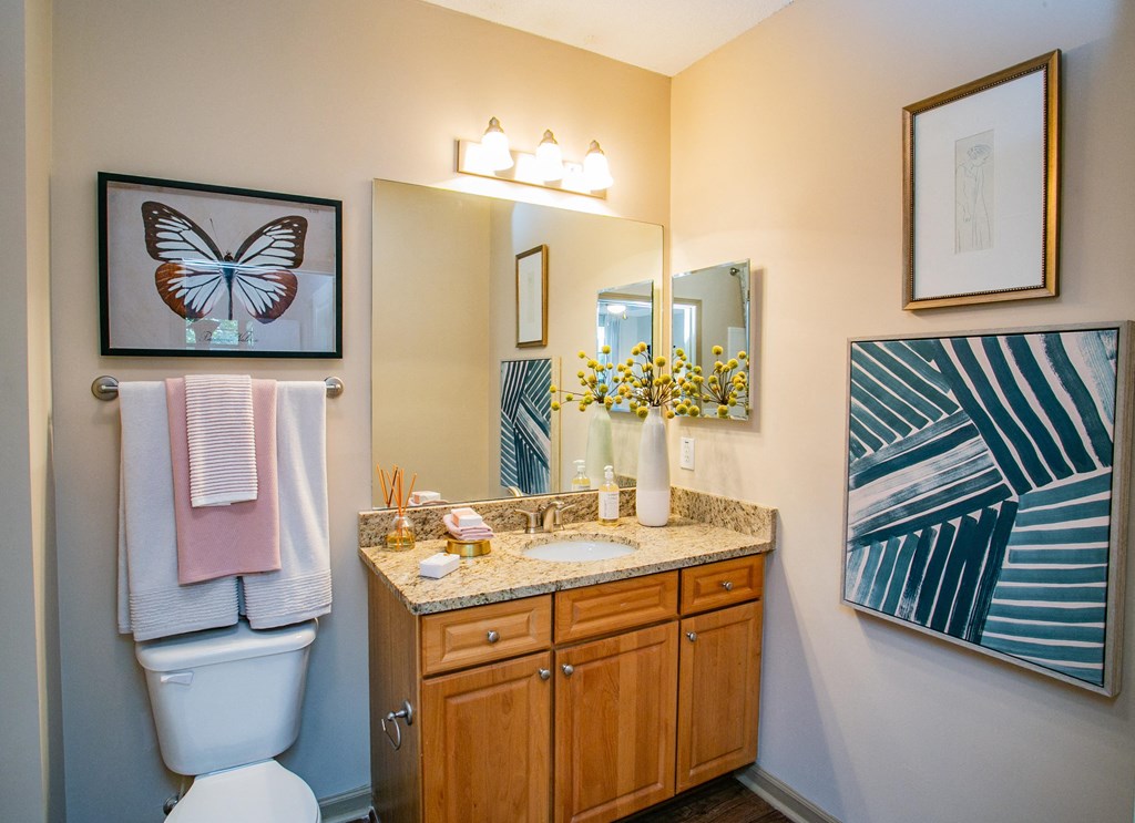 Bathroom with Roman Tub at Atlanta Area Apartments