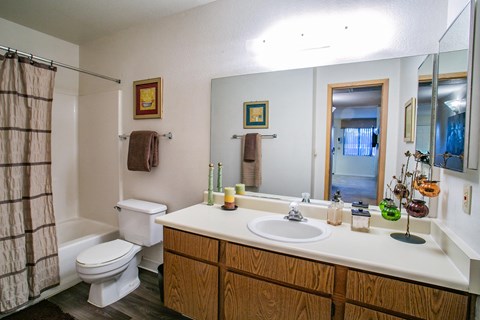 the preserve at ballantyne commons apartment bathroom with sink toilet and shower
