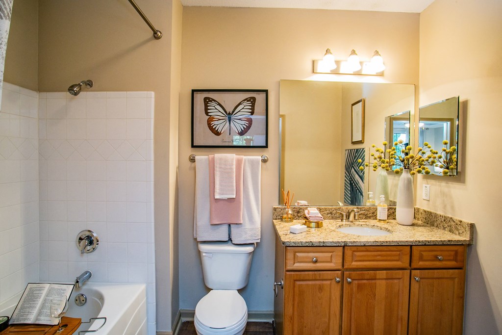 Bathroom with Roman Tub at Atlanta Area Apartments