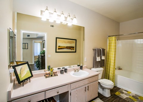 Vintage at the Lakes Model Bathroom Las Vegas Nevada