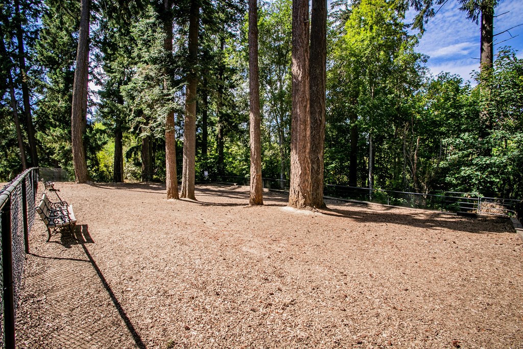 The Colonnade Luxury Townhome Apartments