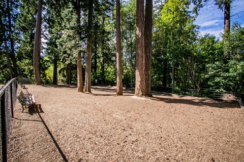 Spacious and Gated Dog Park at Pet Friendly Apartments Near Me