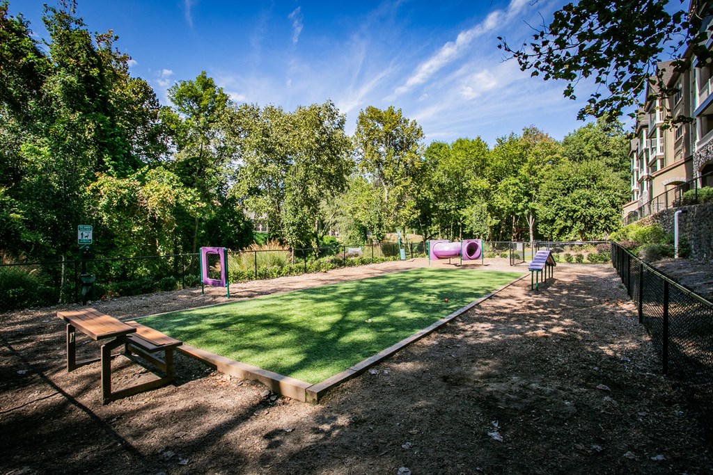 a backyard with a grass court and a playground and trees