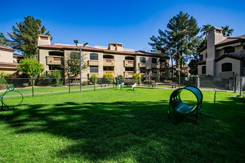 Dog Park at South Scottsdale Apartments for Rent