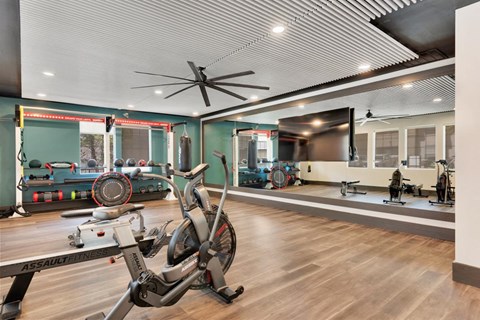 Community Gym with Wall Mirror and Resistance Machines