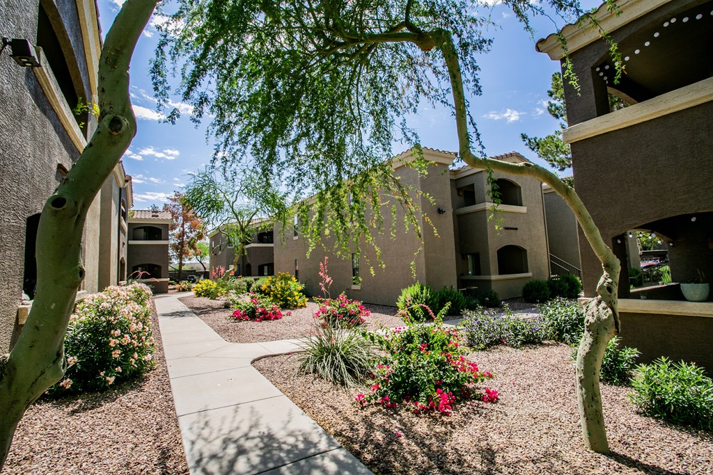 Beautiful Landscaping at Apartments in Happy Valley AZ