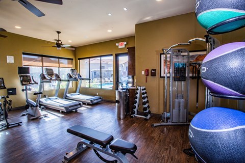 Gym with Free Weights at Tucson Apartments Near La Encantada