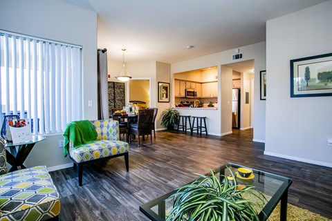 Open concept living room Apartment in Las Vegas Nevada