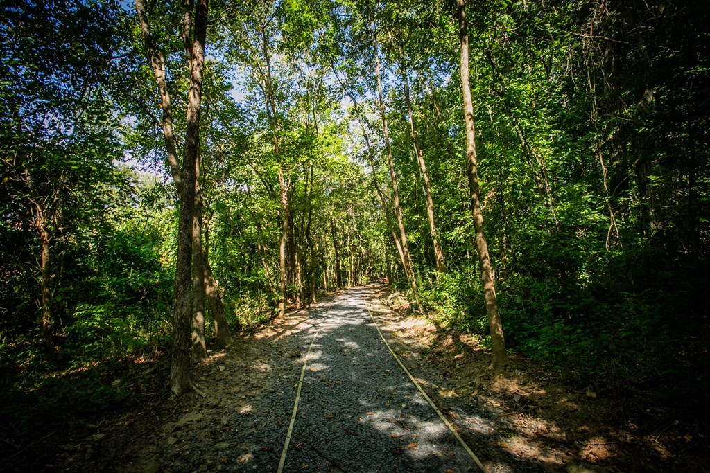 Nature Pathsand Walking Trail at Apartments on Buford Highway