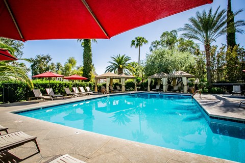 Apartments NW Tucson with Resort-Style Swimming Pool