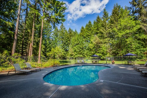 Sparkling Pool with Sundeck at Downtown Bremerton Apartments