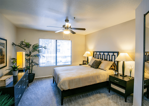 Spacious Bedroom with Ceiling Fan at Luxury Apartments Scottsdale