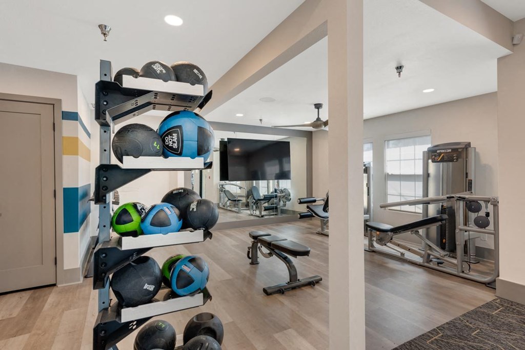 Medicine Balls at Renovated Apartment Gym Santa Fe
