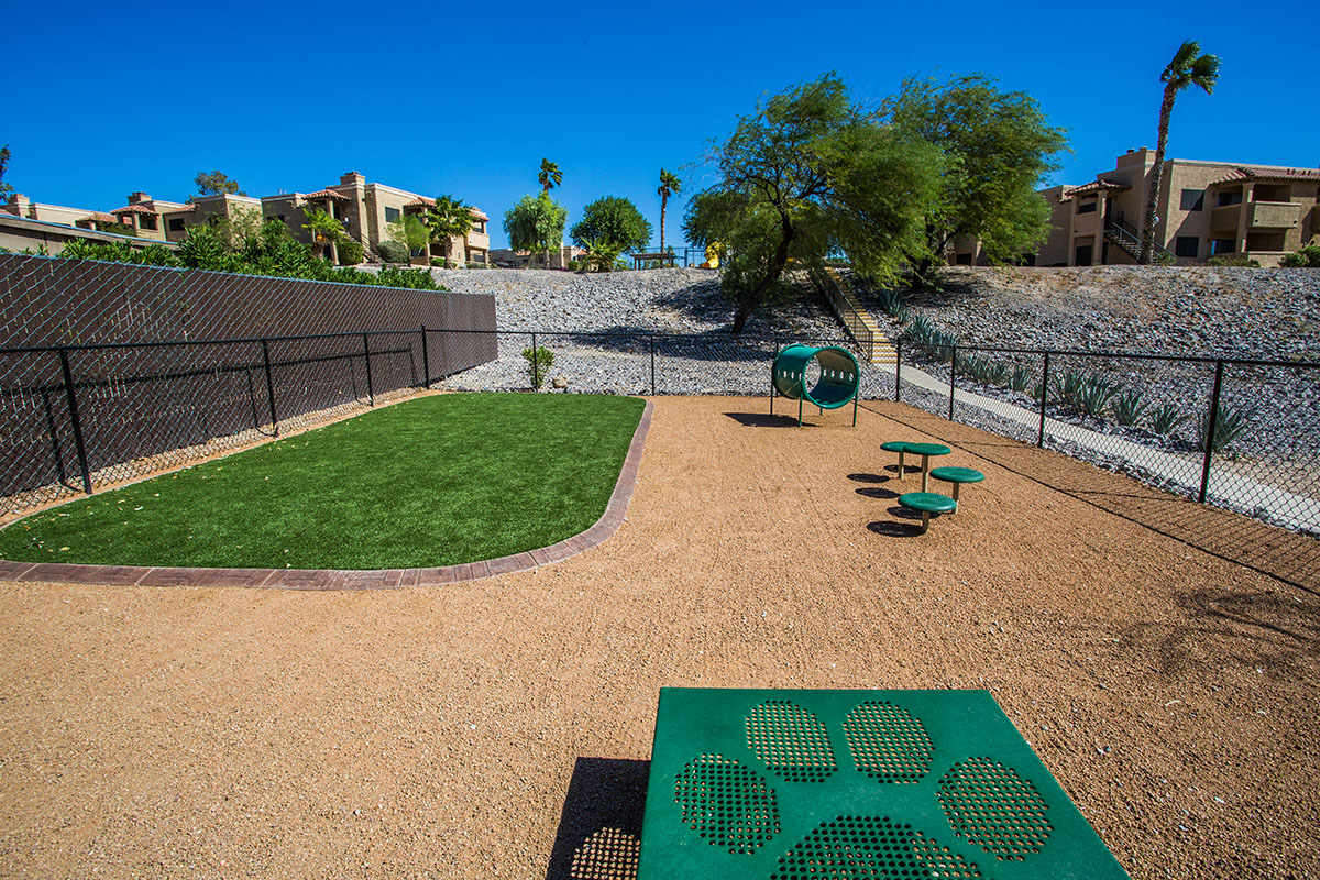 Dog Park at Pet-Friendly Apartments in Laughlin Nevada
