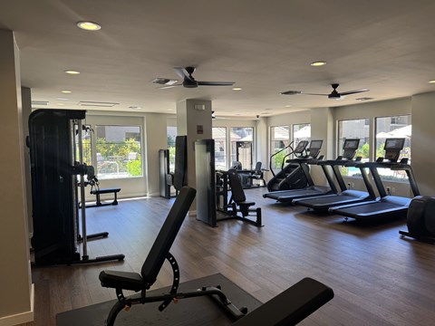 A gym with a variety of equipment including treadmills, weights, and a bench.