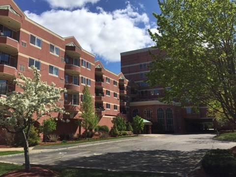 A tree with white flowers is in front of a red brick building.