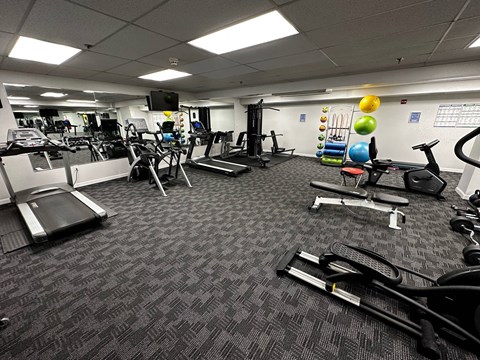 A gym with treadmills, exercise bikes, and other equipment.