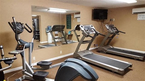 A gym with treadmills, elliptical machines, and a mirror.