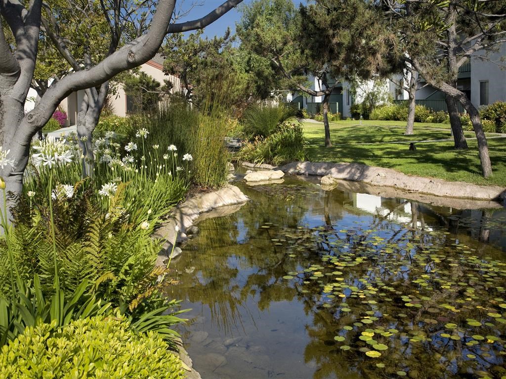 Lush Green Outdoors, at Pacific Oaks Apartments, Towbes, Goleta