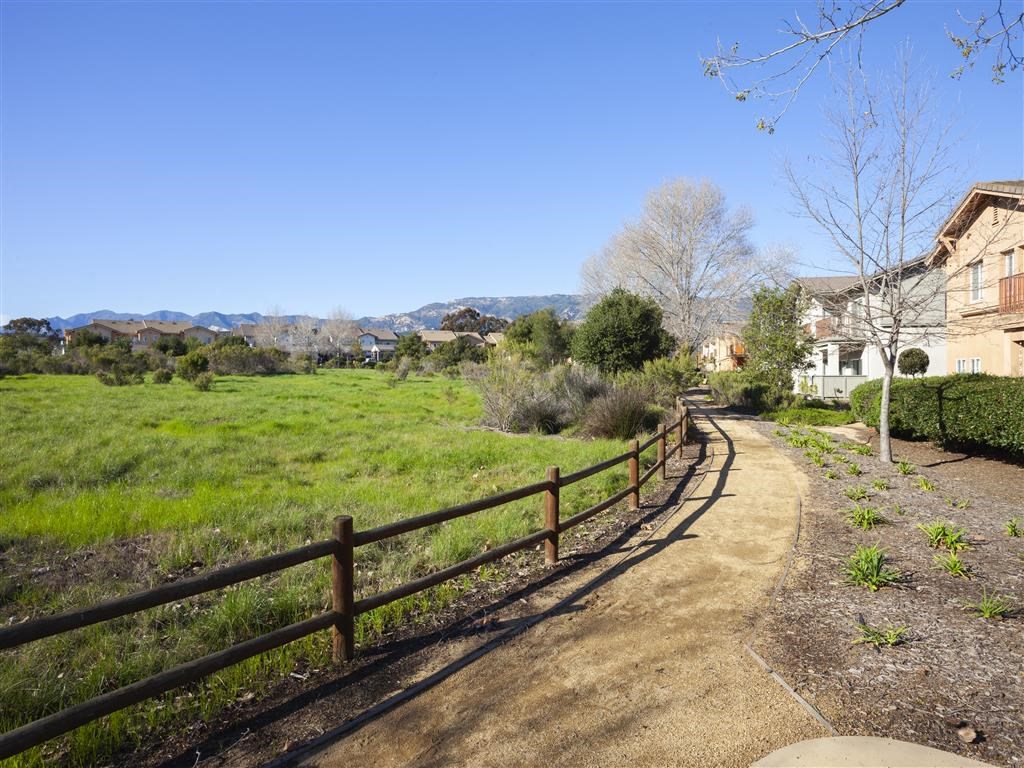 Green surrounding, at Willow Springs, Goleta California
