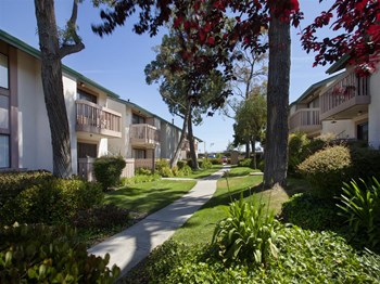 Safe Outdoor Walking Paths at Knollwood Meadows Apartments, Santa Maria, CA, 93455 - Photo Gallery 19