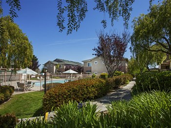 Walking Trail And Pool View at Knollwood Meadows Apartments, Santa Maria, 93455 - Photo Gallery 21