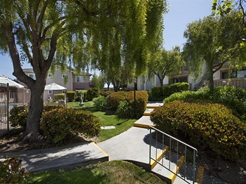 Luxury Apartment Homes Available at Knollwood Meadows Apartments, Santa Maria, California - Photo Gallery 18