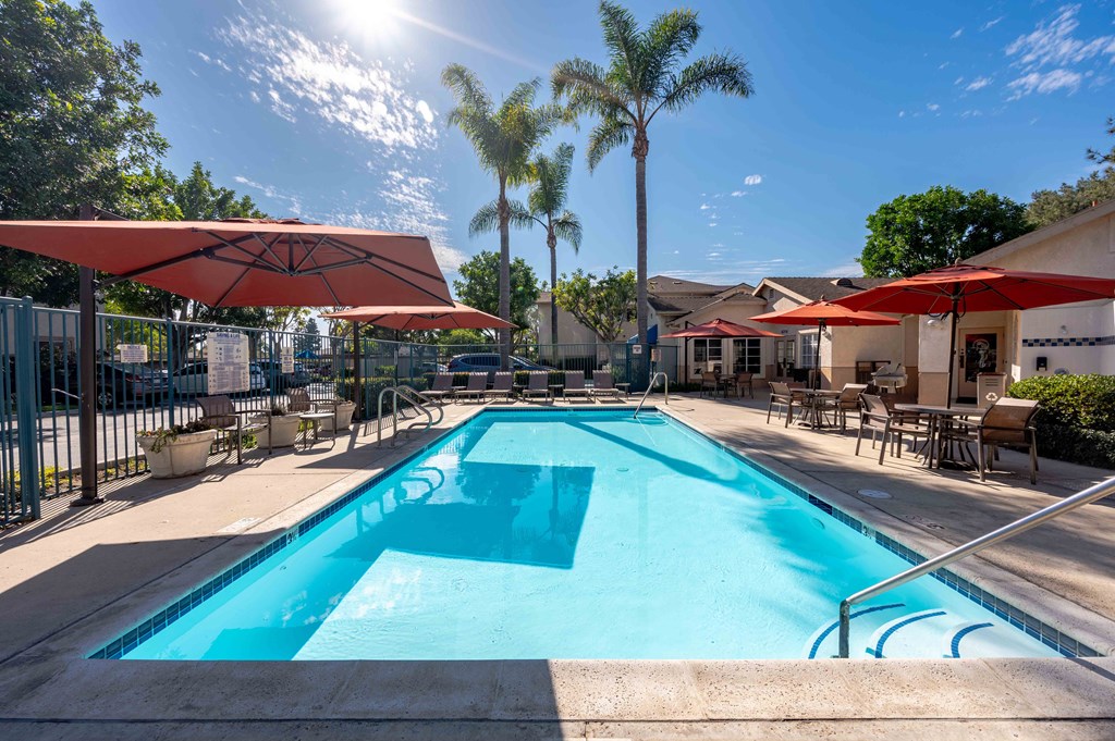 the swimming pool at our apartments in palm springs