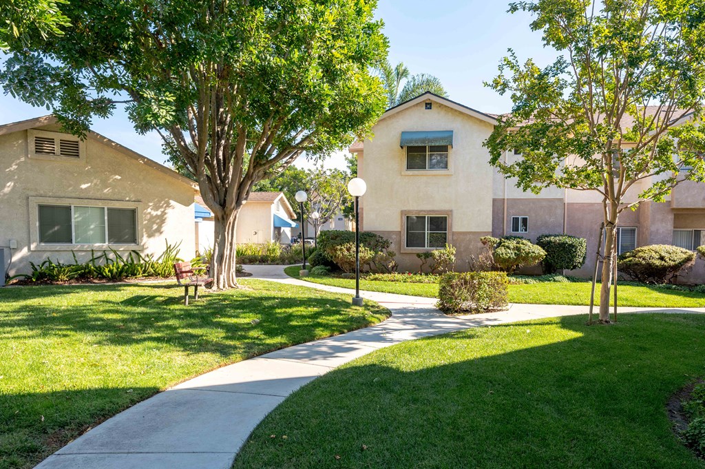 a sidewalk in front of a house with trees