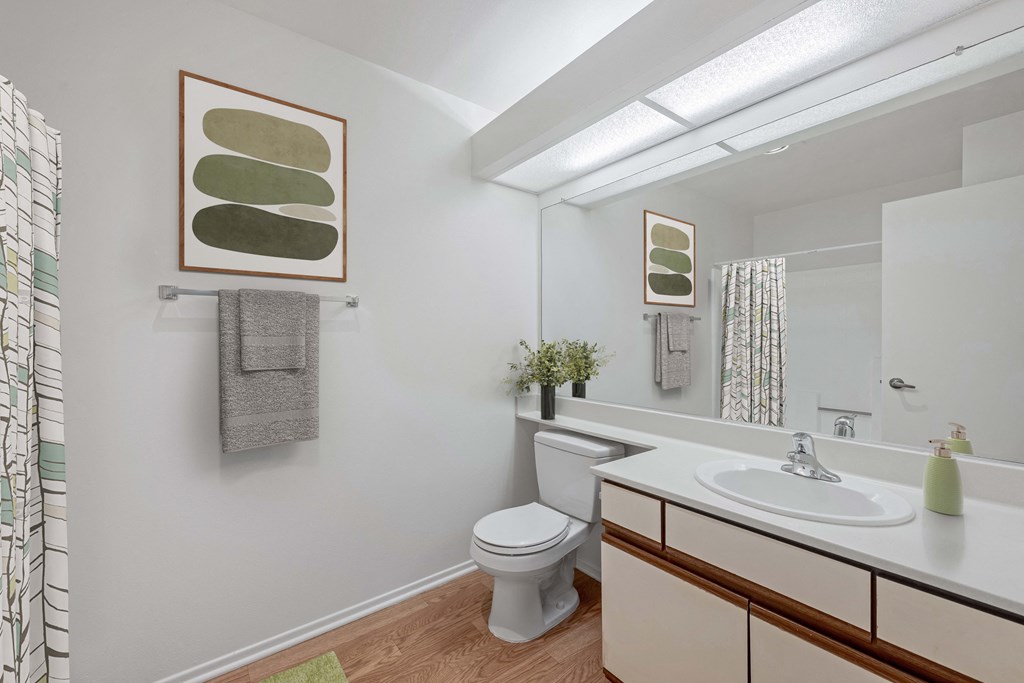 A bathroom with a toilet, sink, and mirror.