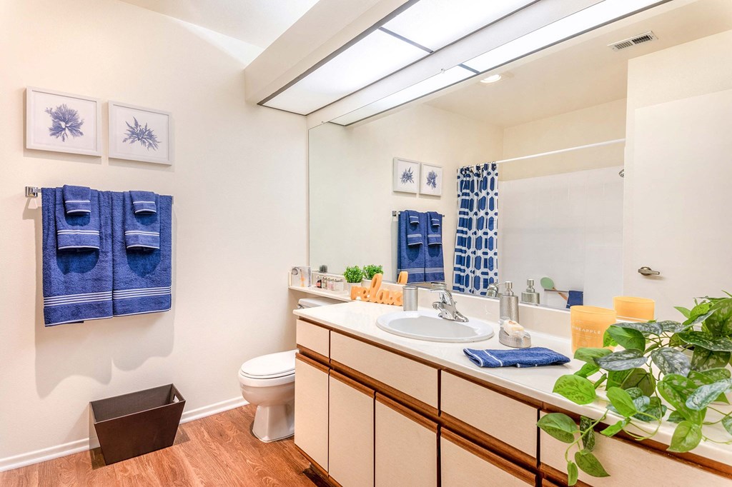 a bathroom with a sink and a toilet and a mirror