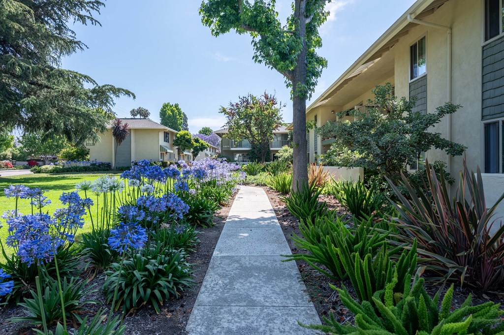 a garden with purple flowers and green plants in front of a yellow building