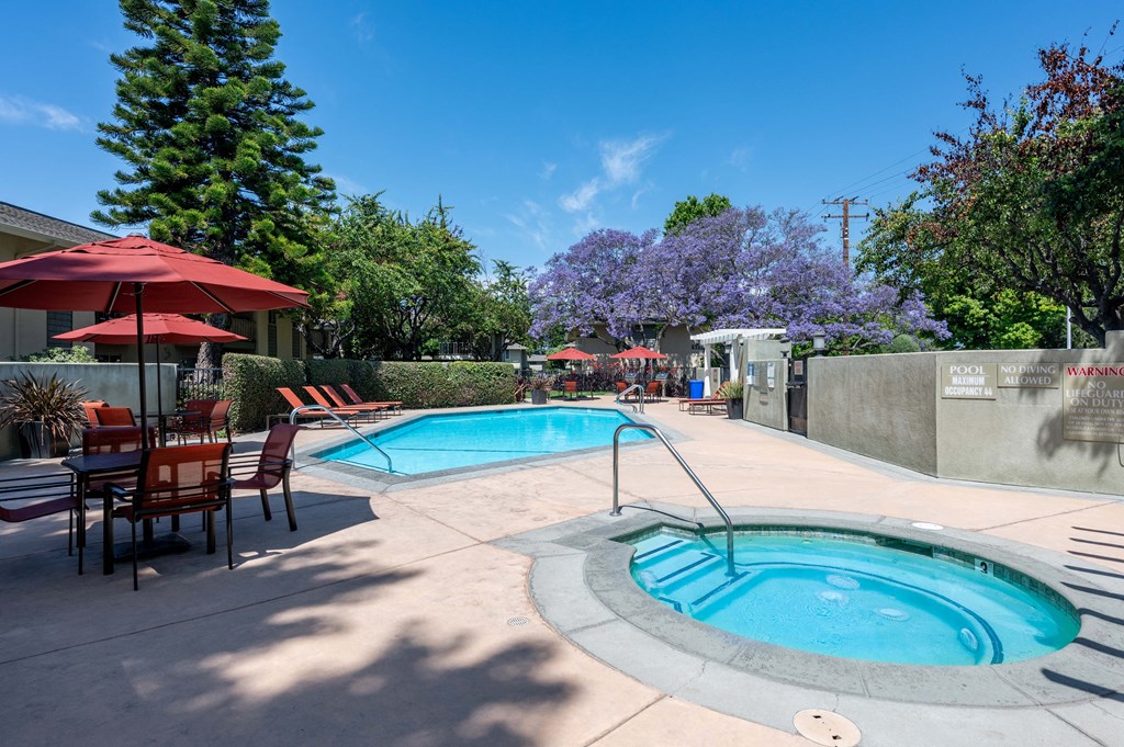 our apartments showcase an unique swimming pool