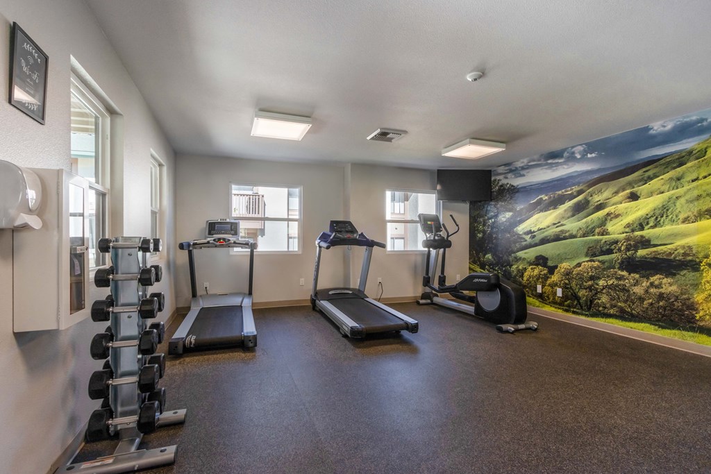 Pet-Friendly Apartments in Santa Maria, CA - Knollwood Meadows - Fitness Center With Treadmills, Elliptical Machines, Free Weights, TV, And Windows.