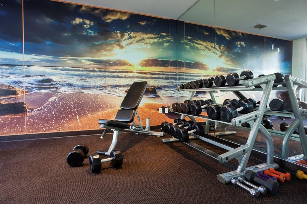 a gym with weights and a wall mural of the ocean