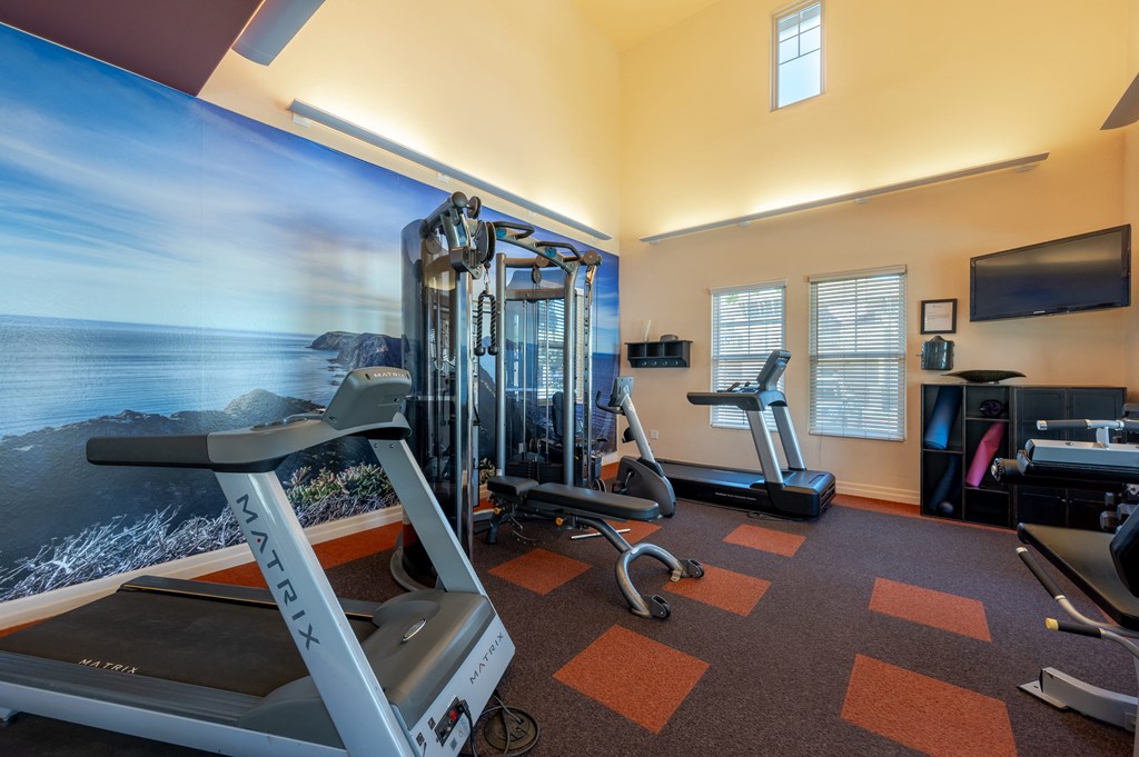a gym with exercise equipment and a wall mural of the ocean