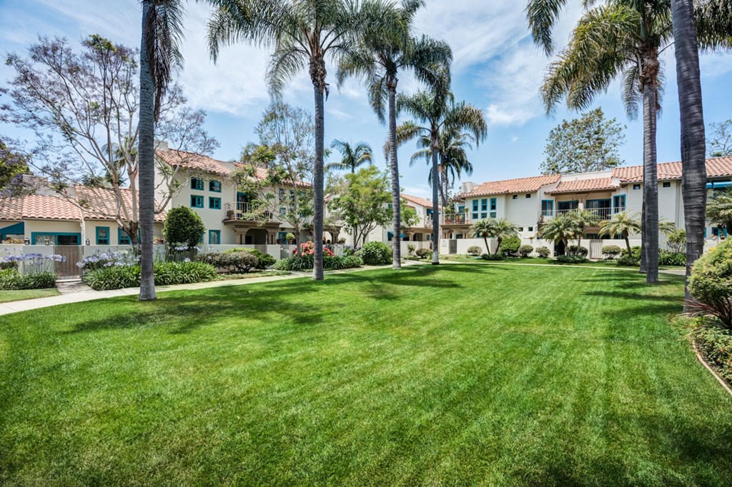 a large lawn with palm trees in front of a building
