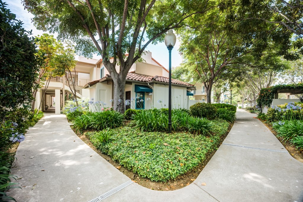 a house with a sidewalk and trees in front of it