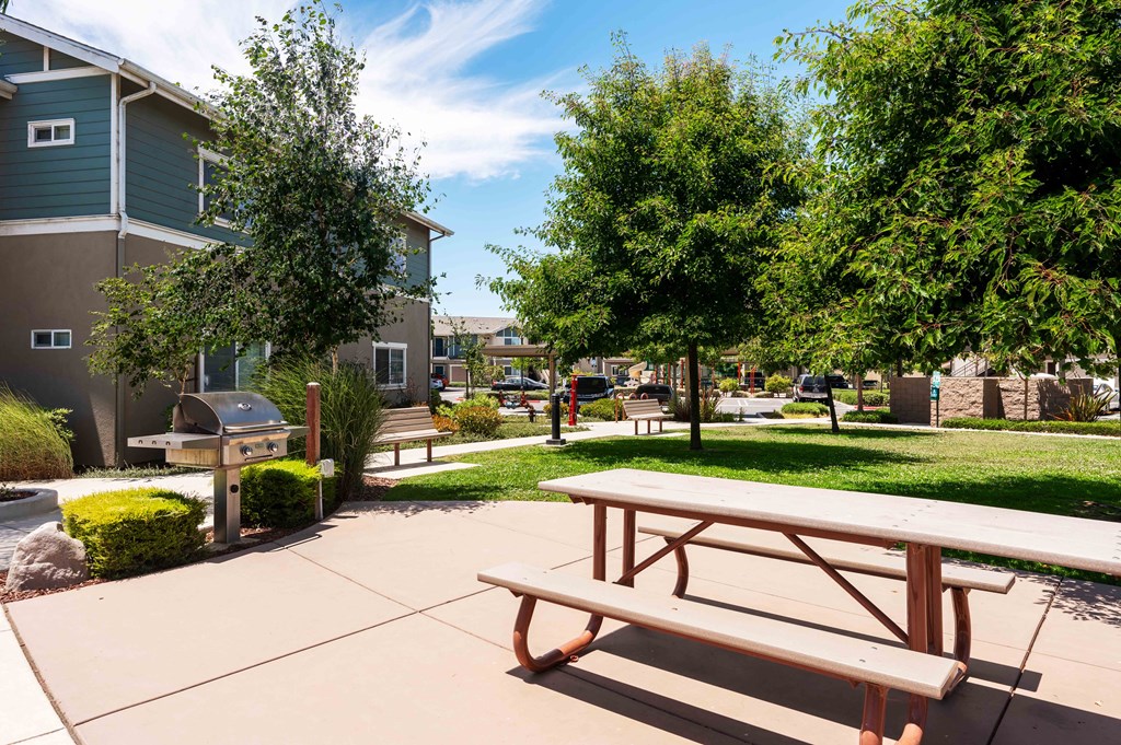 a picnic table and grill sit in the middle of a grassy area