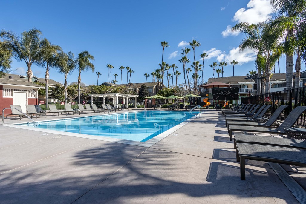 the swimming pool at the resort at longboat key club