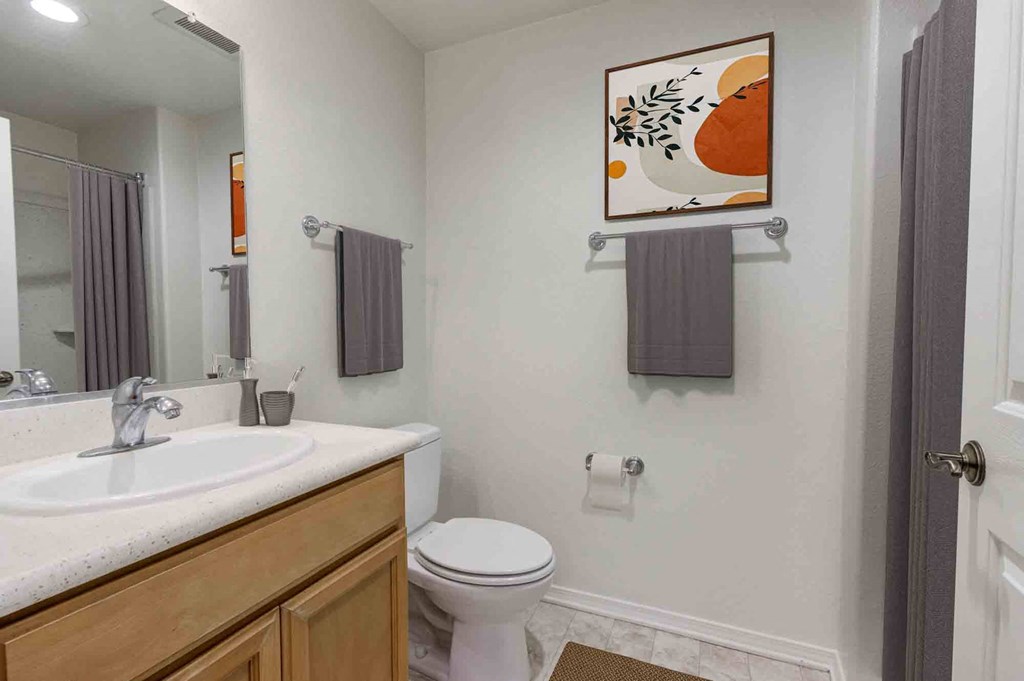 a bathroom with a sink toilet and a mirror